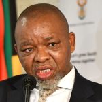 Gwede Mantashe Confirms Plans to Support SAns Amid Petrol Price Hikes